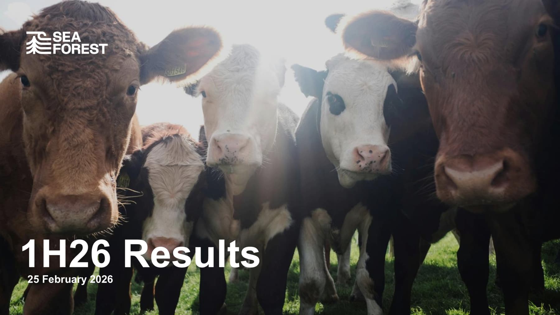 1H26 Results - Investor Presentation
