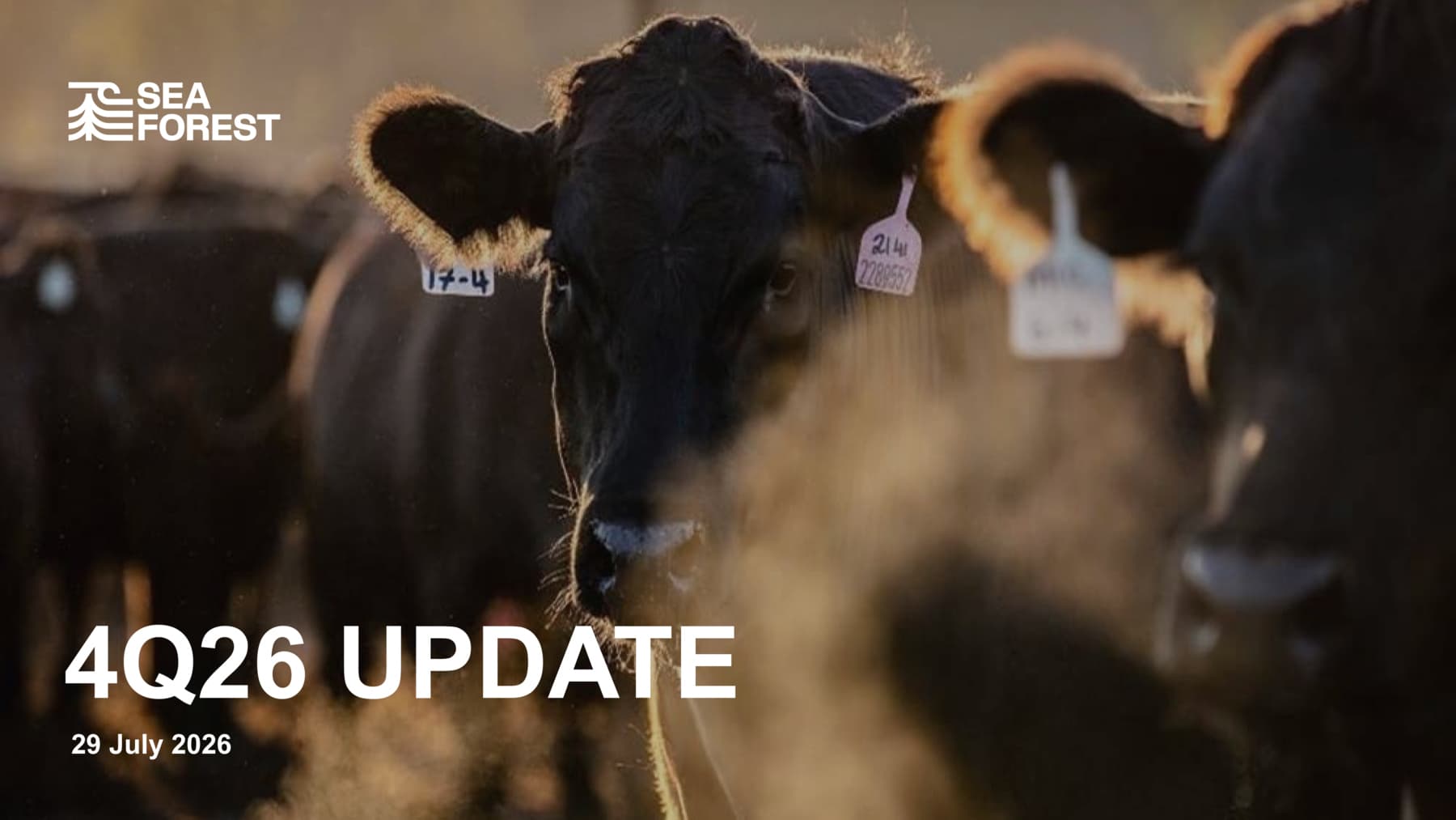 4Q26 Update - Investor Presentation